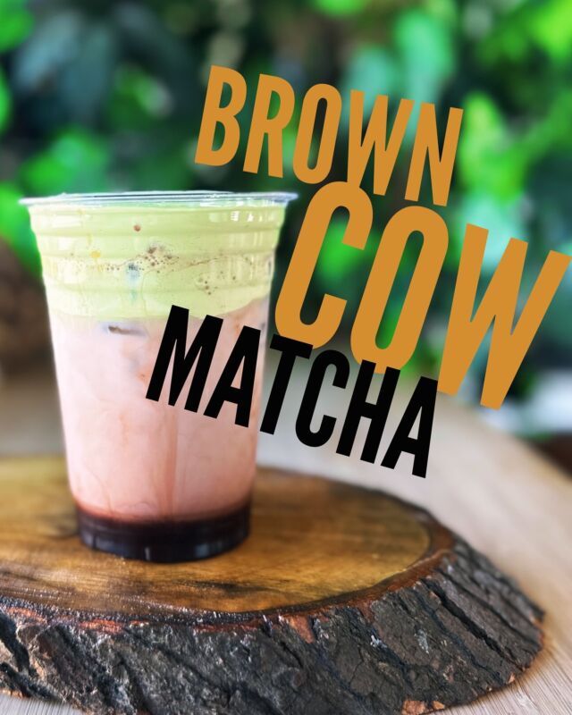 Introducing the Brown Cow Matcha!  Our house made chocolate and brown sugar syrups with dairy of your choice topped with sweet cream matcha cold foam - served on ice for a delicious treat! 🤤